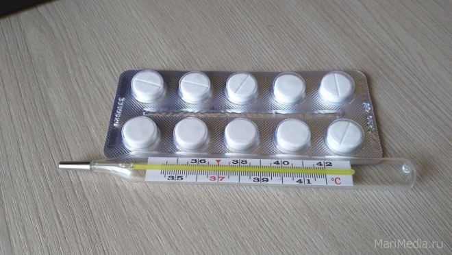 В Марий Эл эпидситуация по гриппу и ОРВИ остаётся стабильной