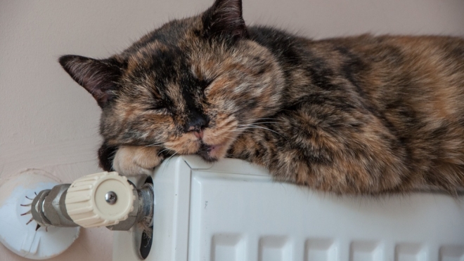 В мэрии Йошкар-Олы приняли решение начать отопительный сезон