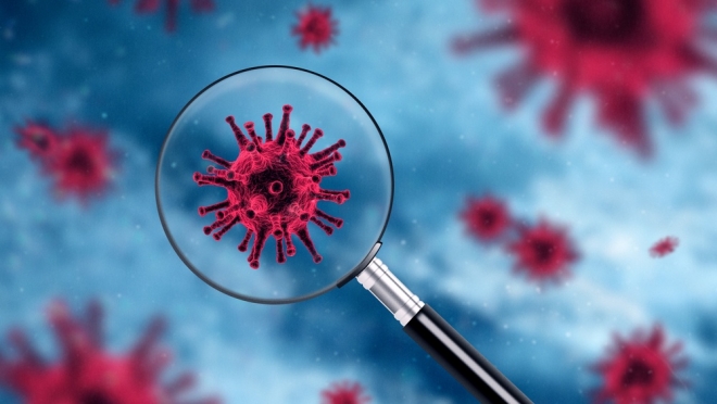 COVID-19 в Марий Эл за вчерашний день: статистика и цифры