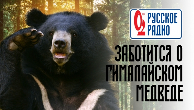 «Русское Радио» возьмет под опеку гималайского медведя