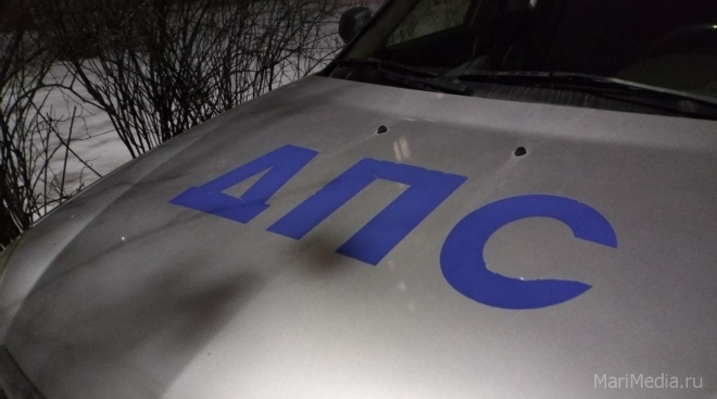 В Марий Эл на загородной трассе «ВАЗ-2110» врезалась в Audi A6