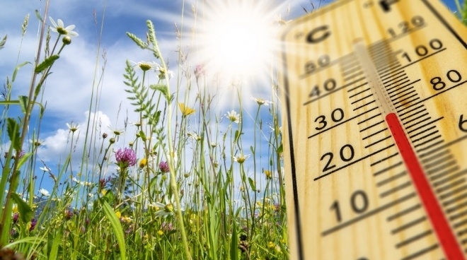 В Марий Эл в эти дни будет стоять жаркая погода