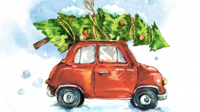 Сегодня в Йошкар-Оле открывается ёлочный базар