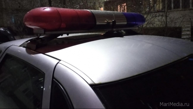 В Волжске по вине 18-летнего водителя пострадала 7-летняя девочка-пассажир