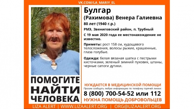 Жительница Казани пропала, возвращаясь домой из Марий Эл