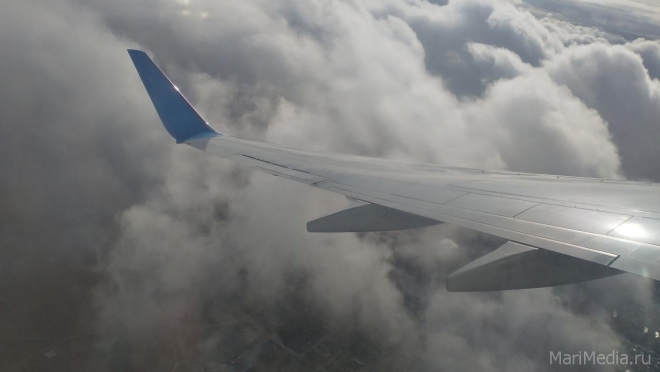 Глава Марий Эл выразил соболезнования семьям погибших в крушении Ан-24