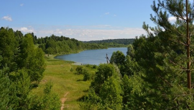 Установлены границы природного заказника «Сотнурская возвышенность»