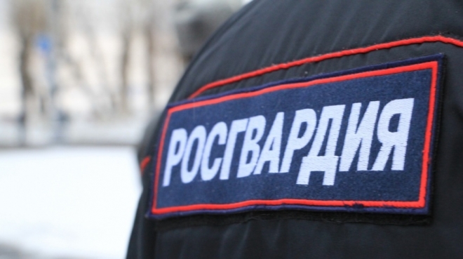 Росгвардейцы задержали домушников в Параньге