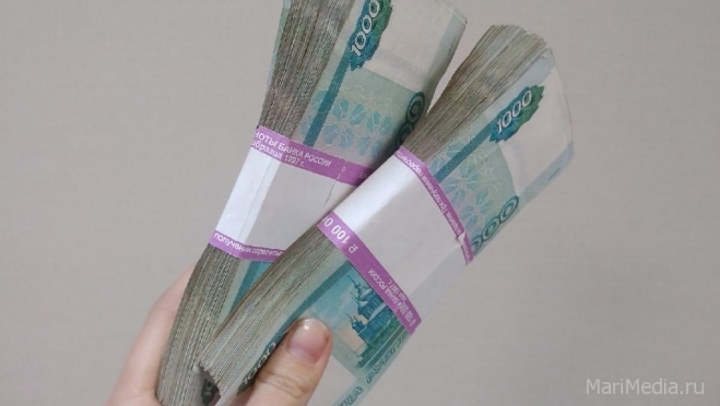 В Марий Эл долги по зарплате перед бюджетниками превысили 1,7 млн рублей