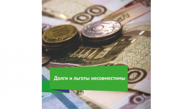 «ТНС энерго Марий Эл»: долги и льготы несовместимы