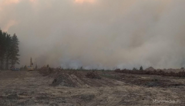 В Марий Эл из-за лесного пожара перекрыт Кокшайский тракт