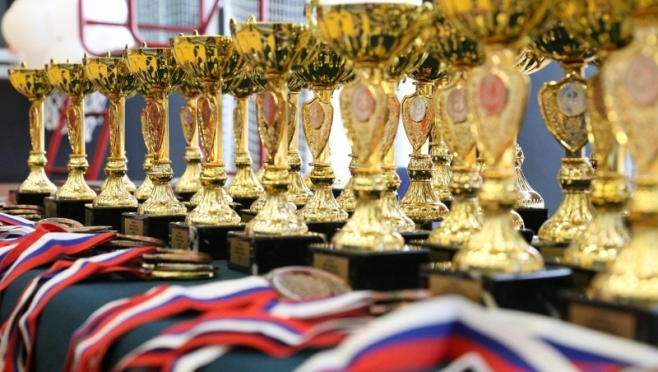 Глава Марий Эл объявил благодарность спортивным тренерам республики