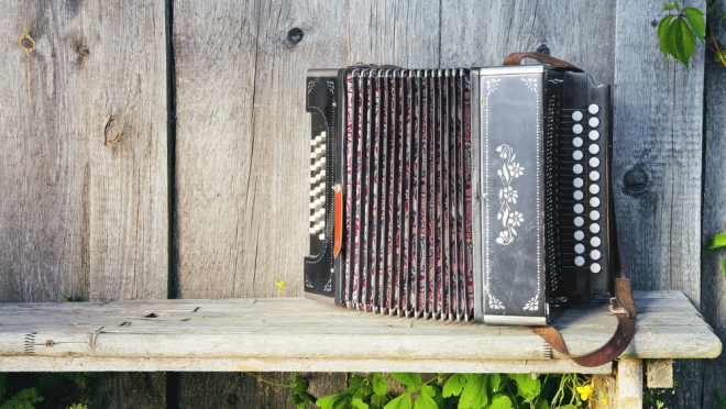 В Марий Эл впервые пройдёт фестиваль юных гармонистов