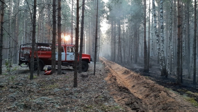 В Марий Эл  сохраняется чрезвычайная пожароопасность лесов