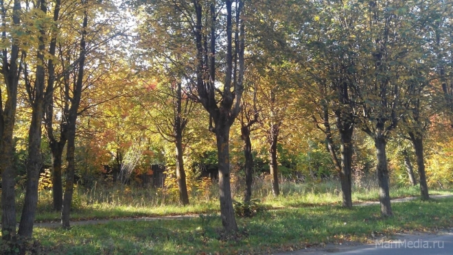 В Марий Эл по-летнему тепло и сухо