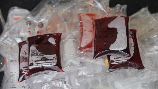 В Марий Эл стартовала зимняя неделя IT-донора