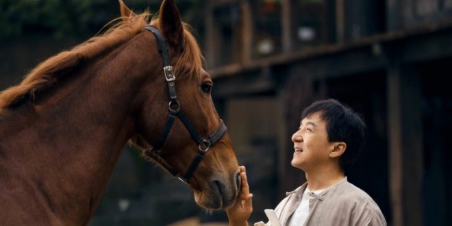 Кунг-фу жеребец