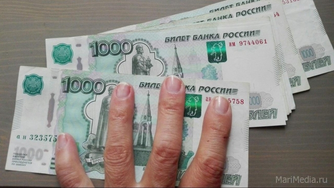 В Йошкар-Оле налоговики выводят зарплату «из тени»