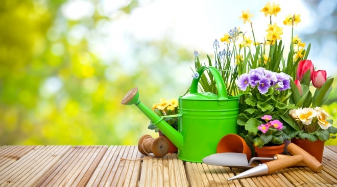 У жителей Марий Эл вырос интерес к садоводству