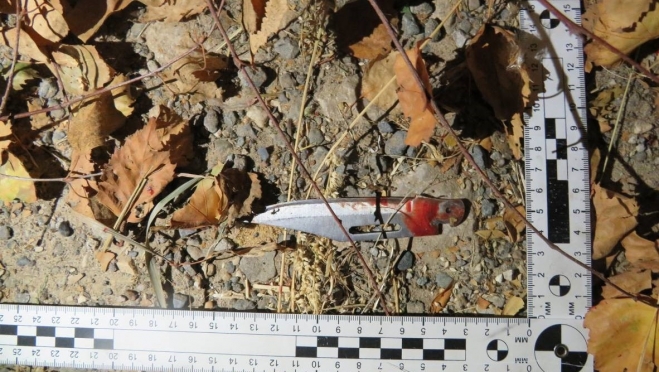 В Марий Эл за нападение на подростков осуждены два жителя Медведево