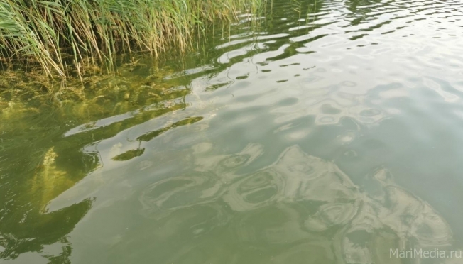 Из реки Кюржа в Ронге вытащили тело мужчины