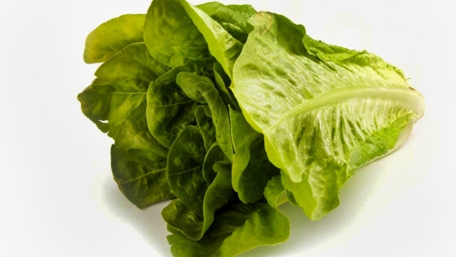 Российский «Цезарь» остался без салата Романо