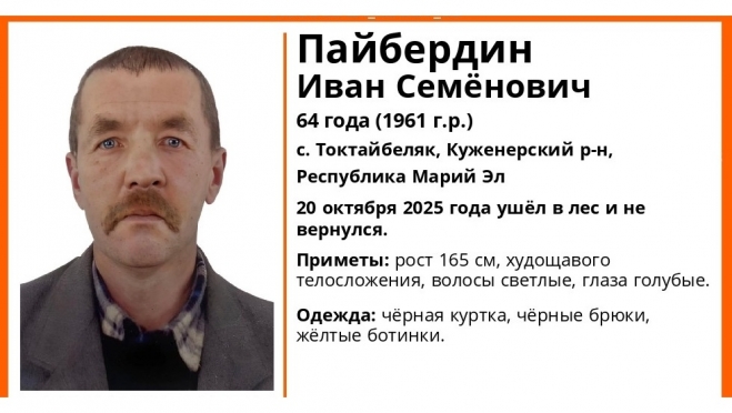 Житель Куженерского района пять дней назад ушёл в лес и до сих пор не вернулся