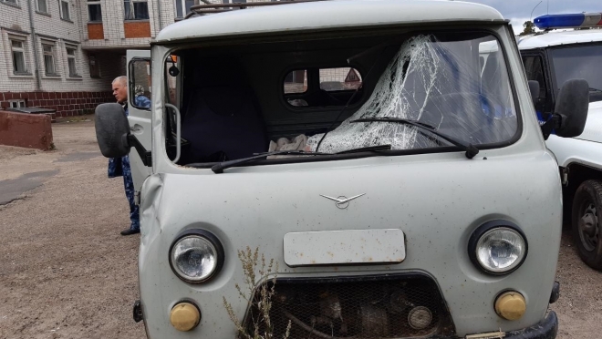 После встречи с лосем жительница Килемарского района попала в больницу