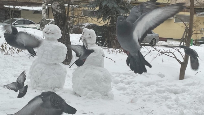 В Марий Эл похолодает до -5...-6ºС