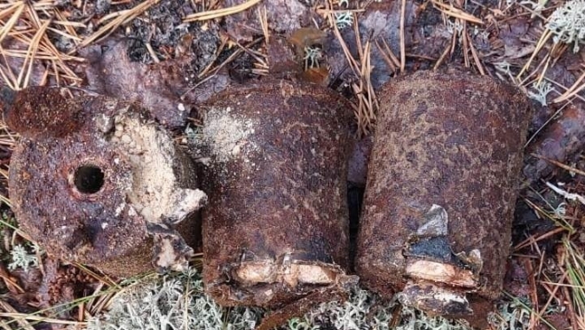 В Медведевском районе обнаружены ручные гранаты с веществом