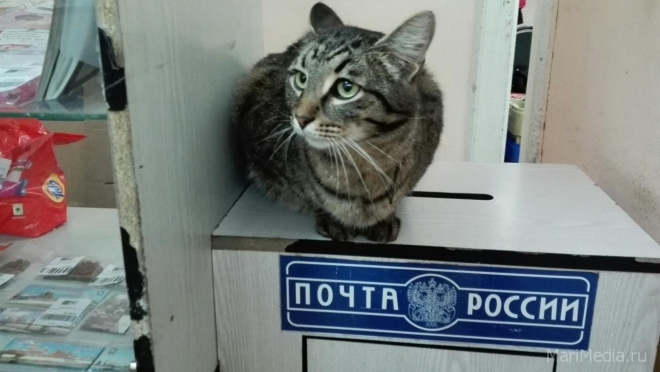 В почтовых отделениях могут появиться алкогольные магазины и аптеки