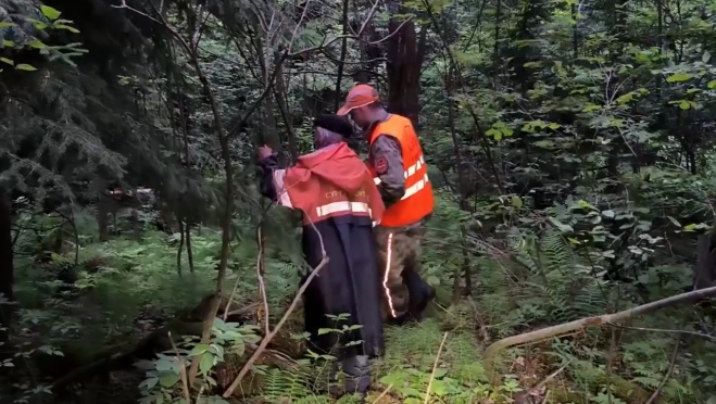 Потерявшегося пенсионера в Советском районе нашли ночью в лесу