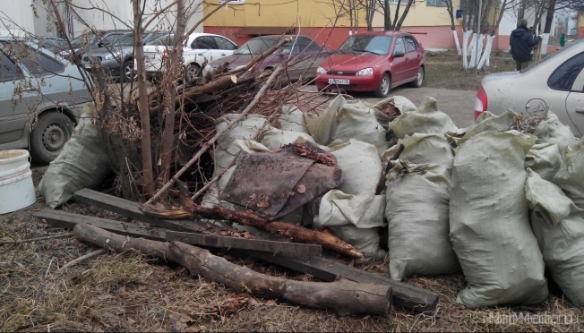 Общегородской субботник пройдёт в Йошкар-Оле в пятницу