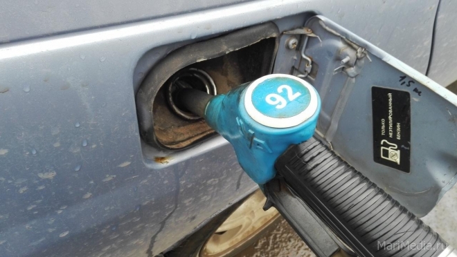 Марий Эл по доступности бензина для населения оказалась на 65 месте