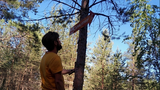 В лесах Марий Эл уже установлено 99 стрелок