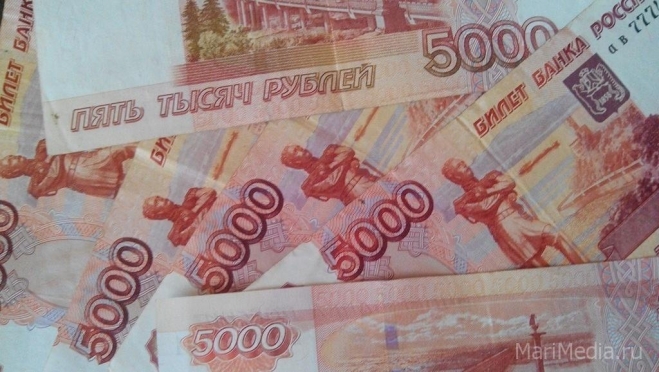 Предприниматель из Волжска задолжал налоговой более 71 млн рублей