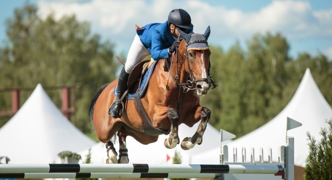 Первенство и Чемпионат Республики Марий Эл по выездке