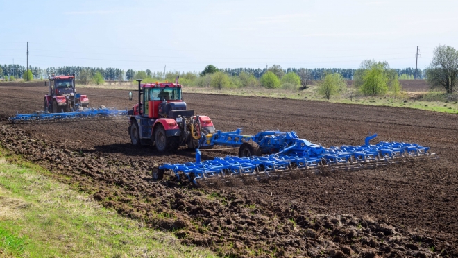 В Марий Эл заморозки не причинили вреда сельскохозяйственным культурам