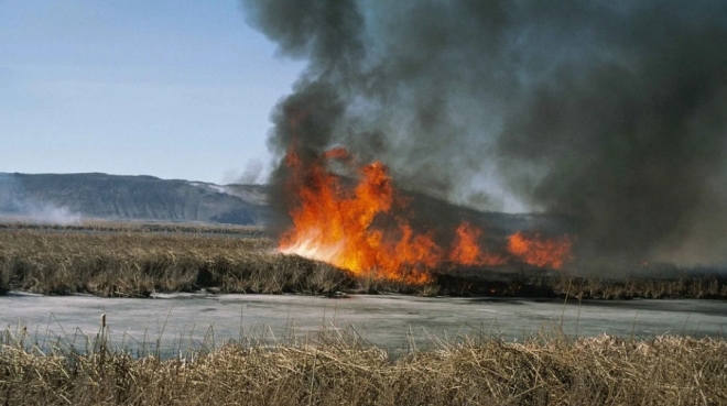 В Марий Эл начались пожары из-за пала сухой травы