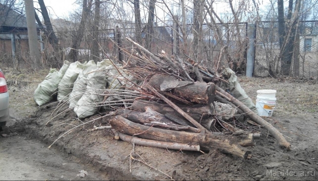 Мартовский общегородской субботник в Йошкар-Оле отменён