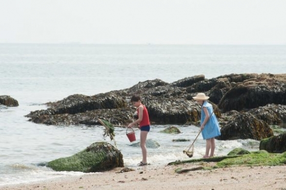 Каникулы маленького Николя