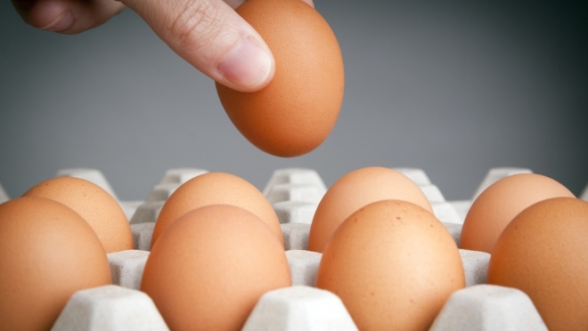 Совет ЕЭК принял решение по яйцам