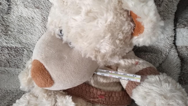 В Марий Эл отмечен рост числа острых респираторных вирусных инфекций