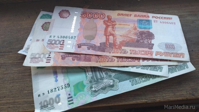 Дистанционные мошенники за сутки выманили у мариэльцев 80 тысяч рублей