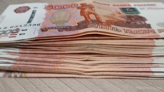 Жителям Марий Эл в январе по единым пособиям выплатили более 371 млн рублей