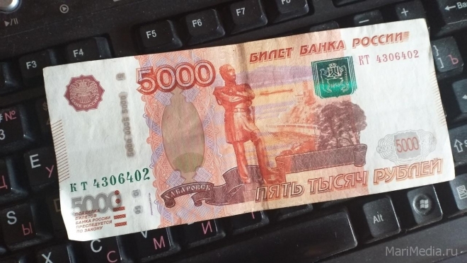 Жительница Йошкар-Олы потеряла 11 тысяч рублей, зайдя на «левый сайт»