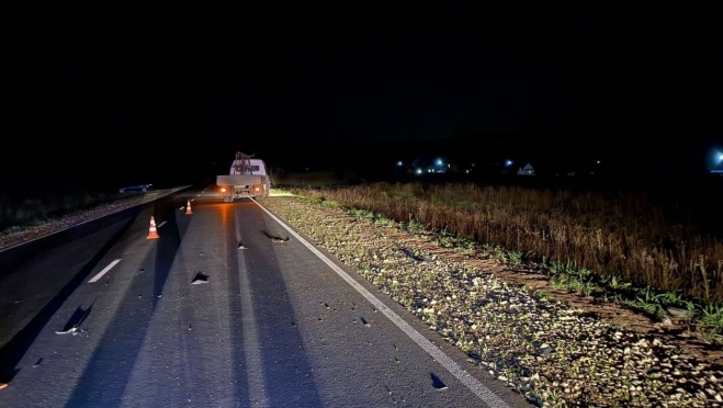 В прокуратуре назвали причины ДТП с велосипедистом в Куженерском районе