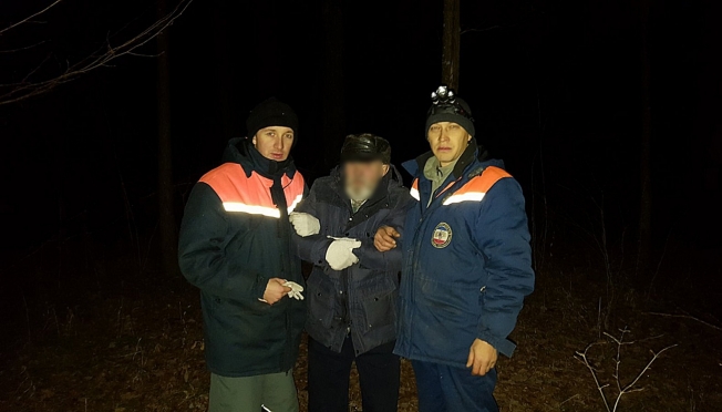 В Йошкар-Оле в Сосновой роще пропал пожилой мужчина