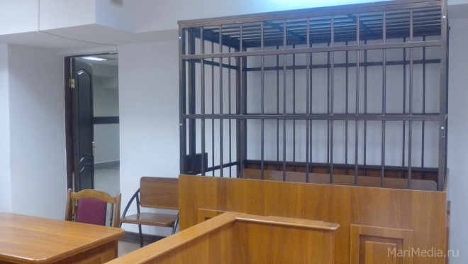 В Йошкар-Оле вынесен приговор двум братьям-грабителям