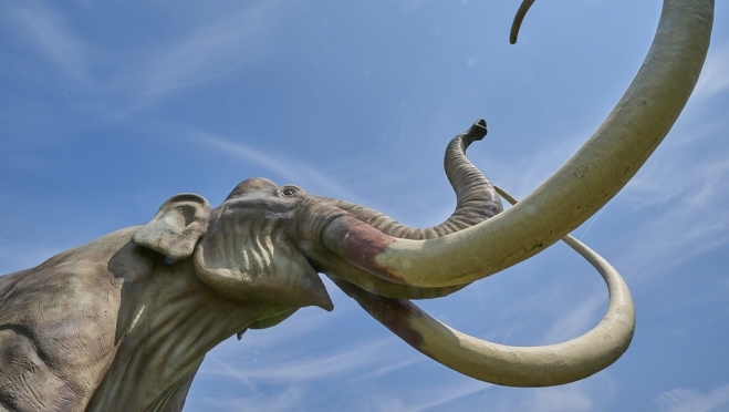 «Гости из прошлого» перекроют движение по улице Гоголя